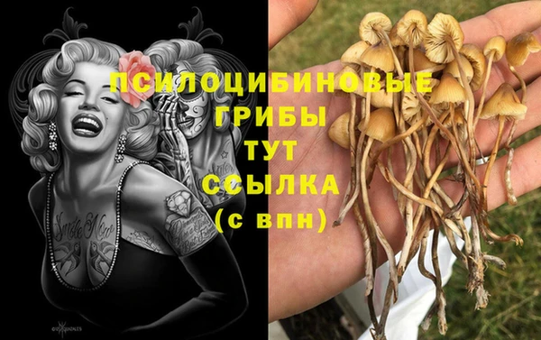 таблы Гусь-Хрустальный